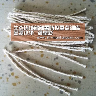 生态环境部部署防控重点湖库蓝藻水华-满堂彩