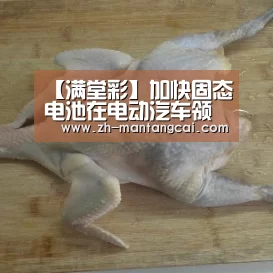 【满堂彩】加快固态电池在电动汽车领域应用的建议