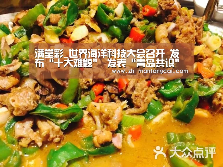 满堂彩_世界海洋科技大会召开 发布“十大难题” 发表“青岛共