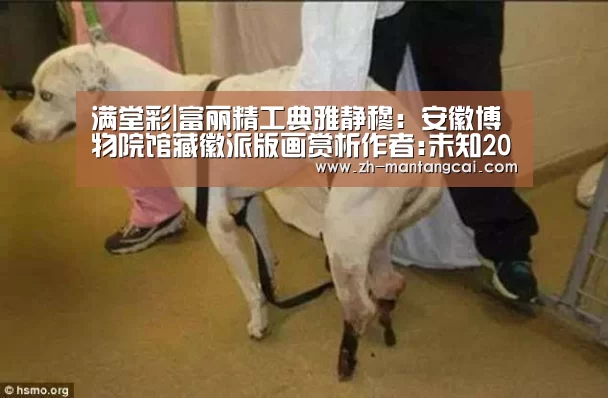 满堂彩|富丽精工典雅静穆：安徽博物院馆藏徽派版画赏析作者:未