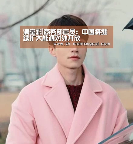 满堂彩|商务部官员:中国将继续扩大能源对外开放(图2) 满堂彩