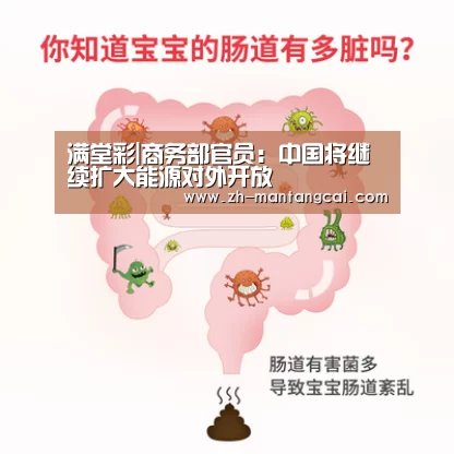 满堂彩|商务部官员：中国将继续扩大能源对外开放