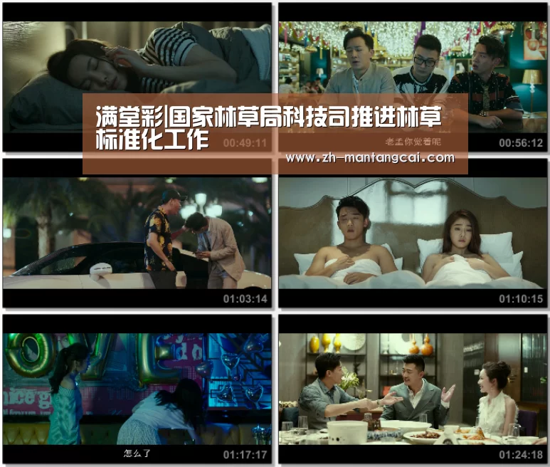 满堂彩|国家林草局科技司推进林草标准化工作(图3) 满堂彩